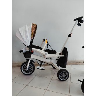 Tricycle with Stroller for Kids